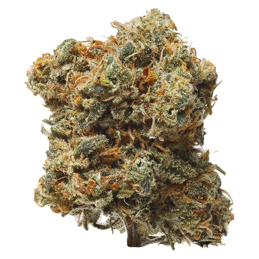 Blue Dream 28g Dried Flower- 1964