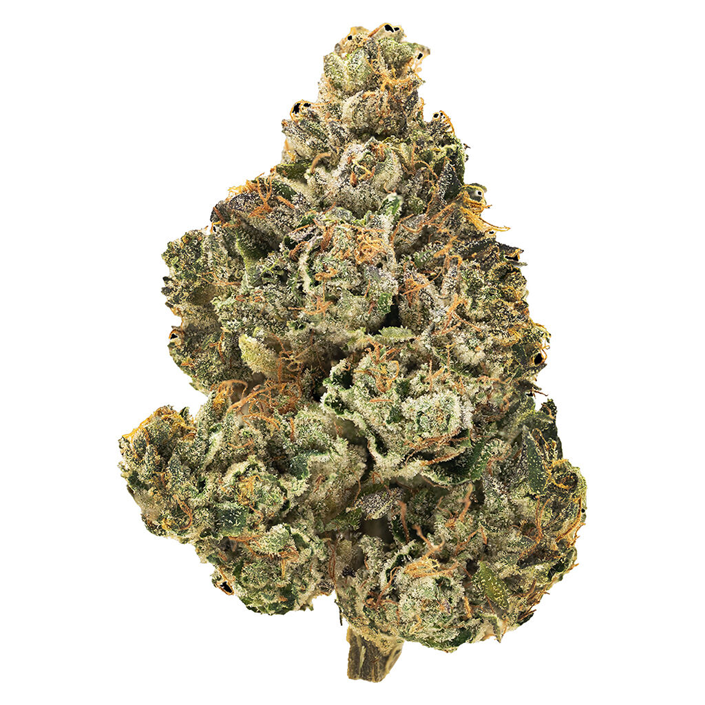 Stinky Pinky 7g Dried Flower