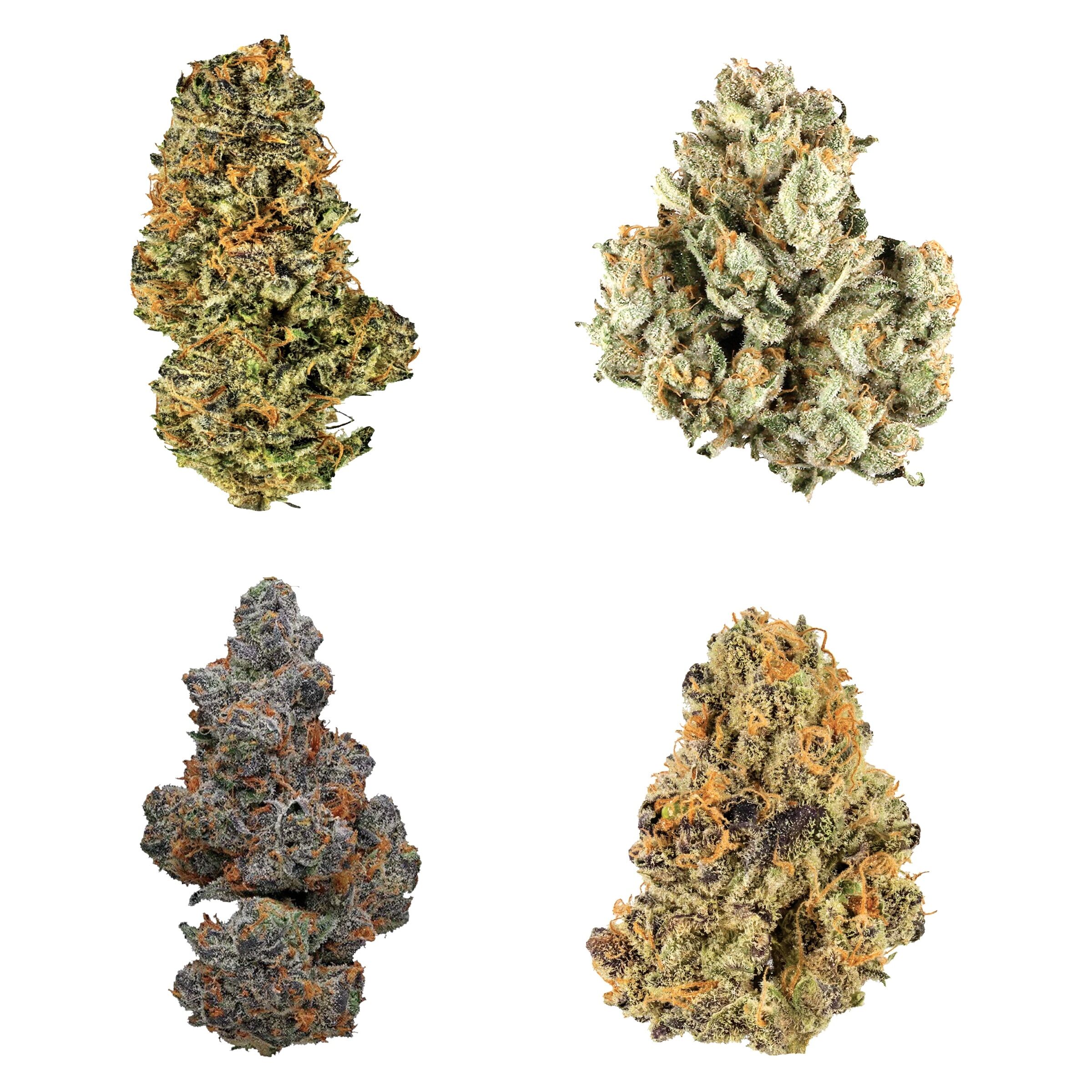 Potluck - Canada Collection Variety Ounce 28g Dried Flower Main Image