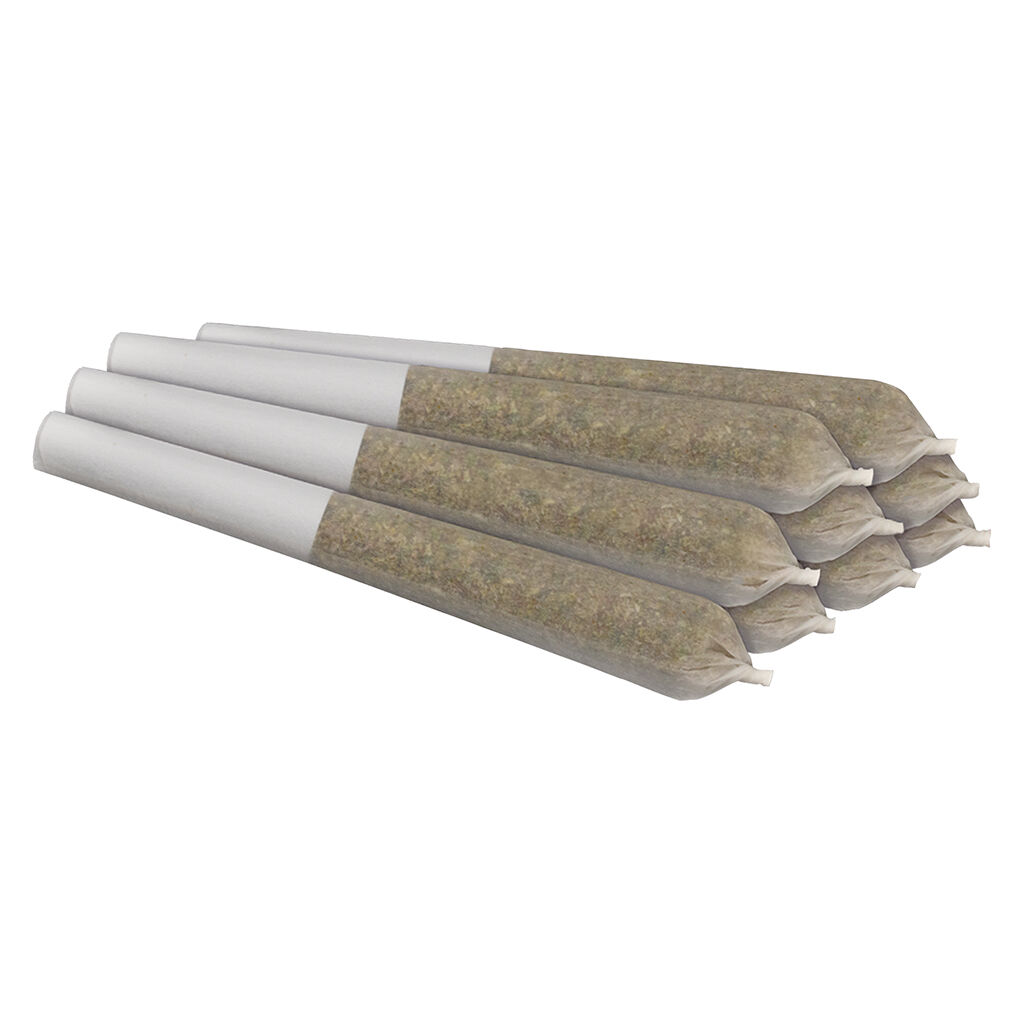 LA Beatnik PreRoll  10x