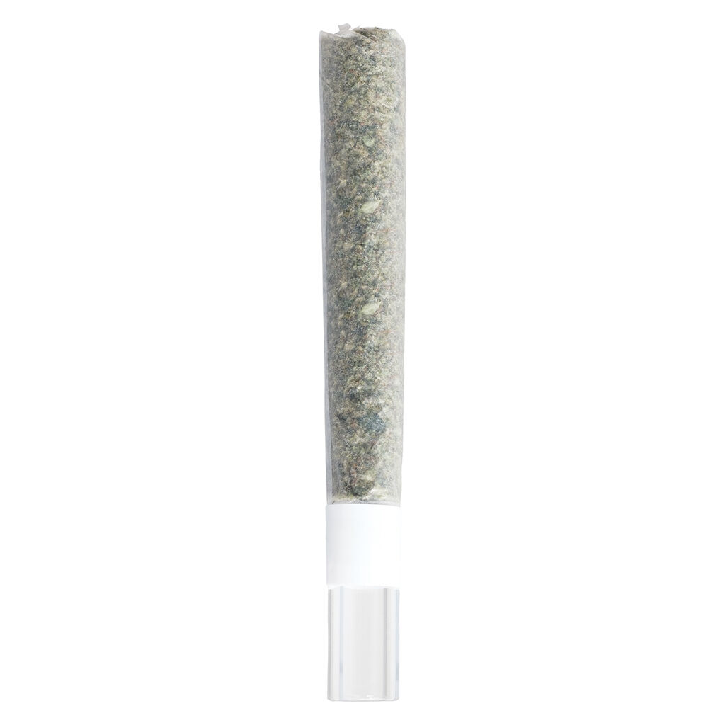 Michigan Melonz Glass Tip Pre-Roll