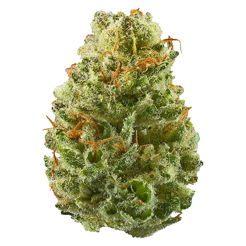 Potluck - Strawberry Cough 7g Dried Flower Main Image
