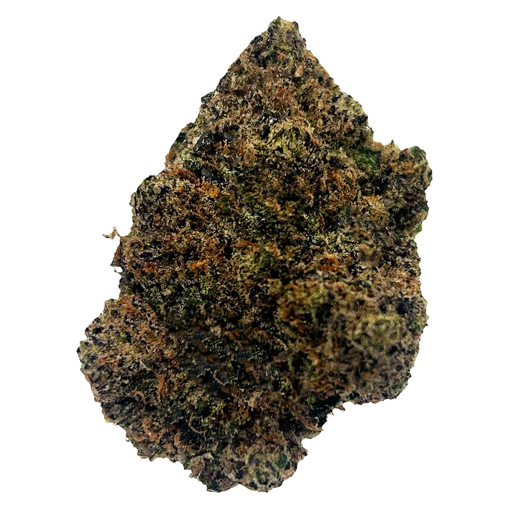 Beaver Tail 7g Dried Flower