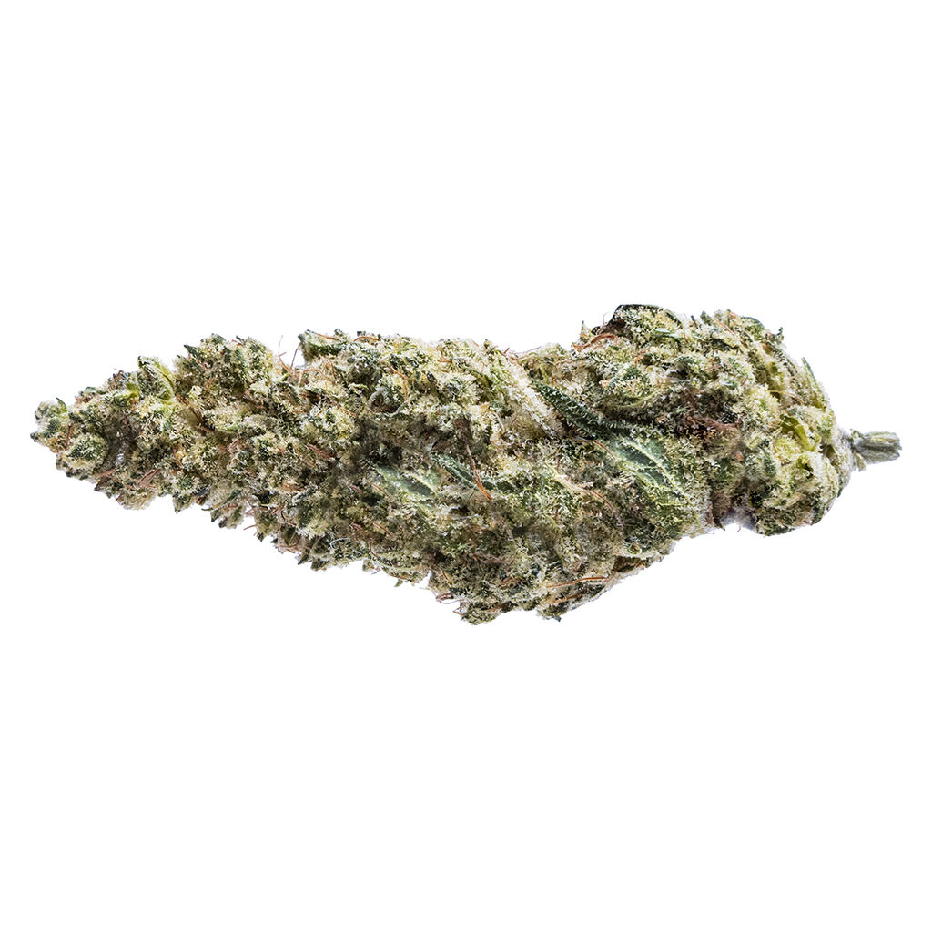 Blue Dream #16