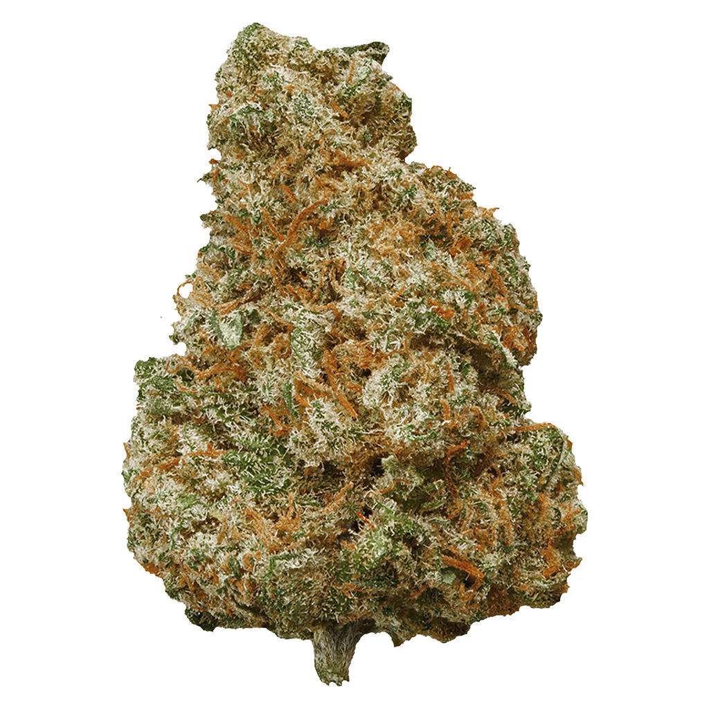 POTLUCK - Mango Dream 7g Dried Flower Main Image