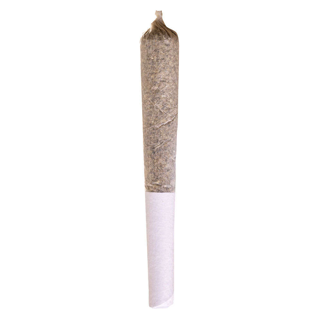 Potluck - Beaver Tail Pre-Roll - 1x0.5g