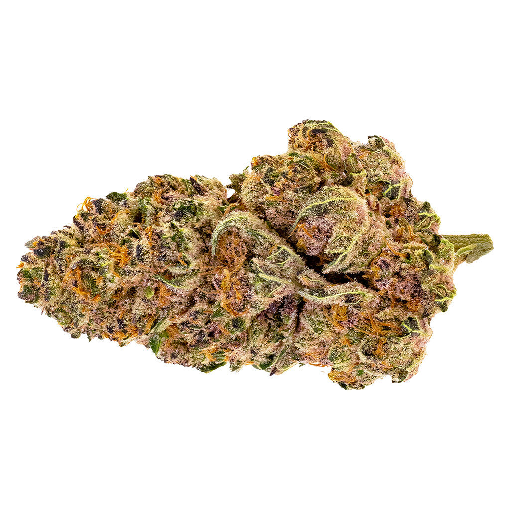 Purple Fog Flower - Indica