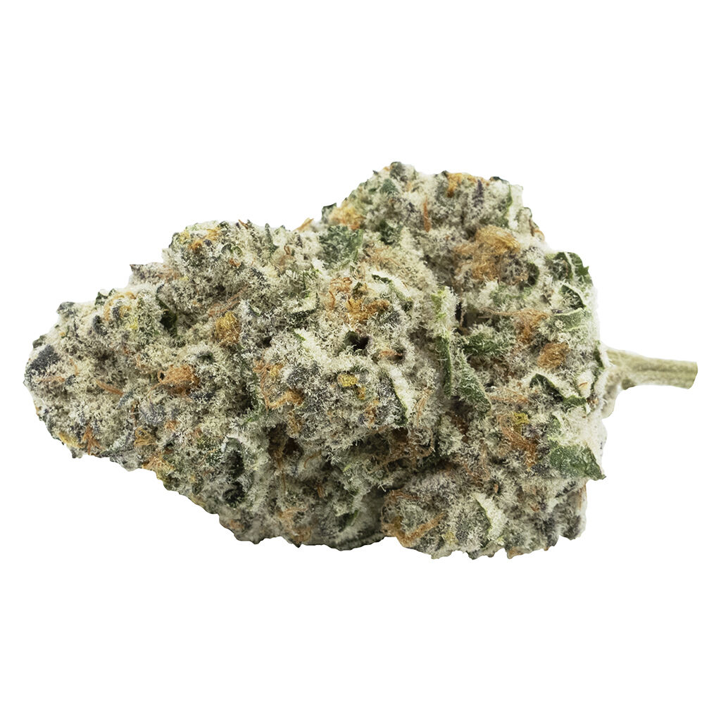 Back Stage Pass Sativa