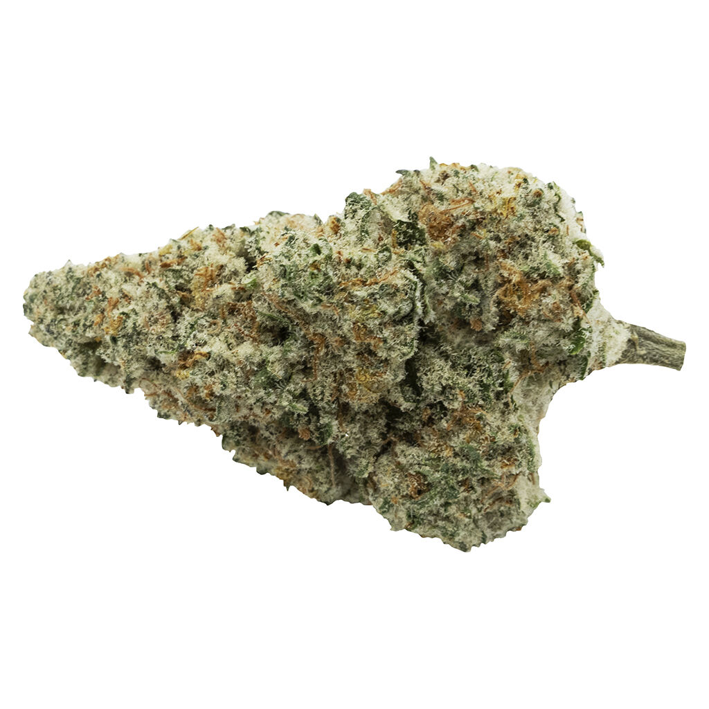 Back Stage Pass Indica