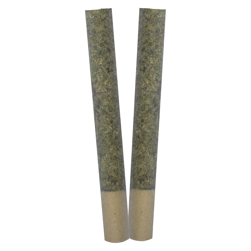 IGNITE Pre-Roll