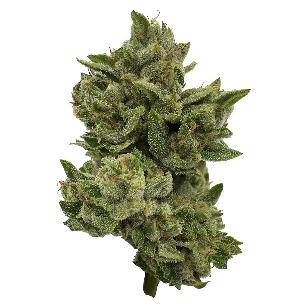 DEELISH - Pretty Sweet Sativa 28g Dried Flower Main Image