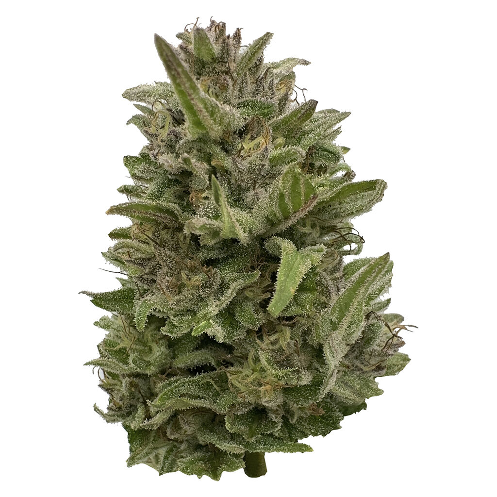 Pretty Chill Indica 28g Dried Flower
