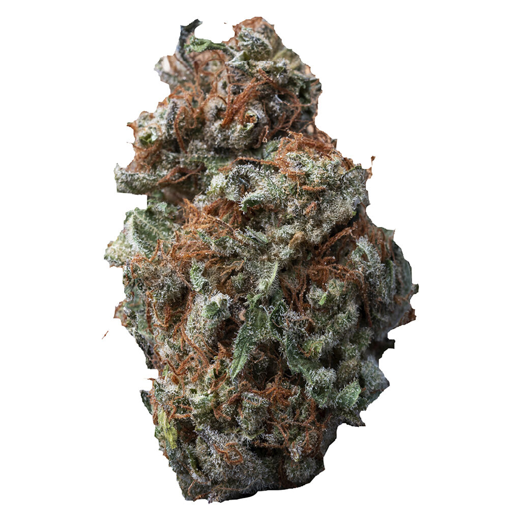 Sasquatch Sap