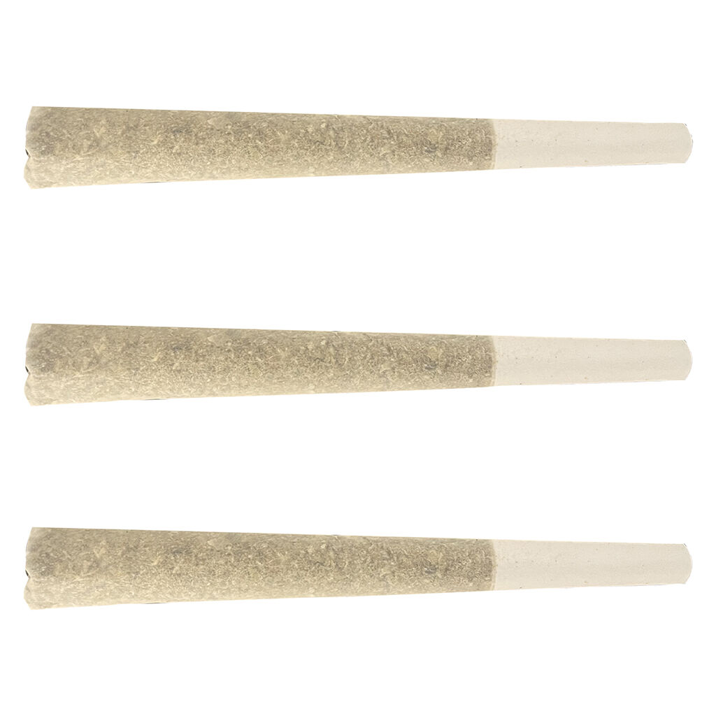 North of 28 - Apes in Space Pre-Roll