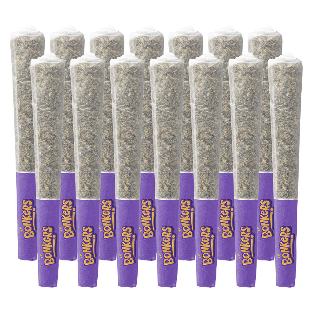 Dream Catcher Pre-Roll