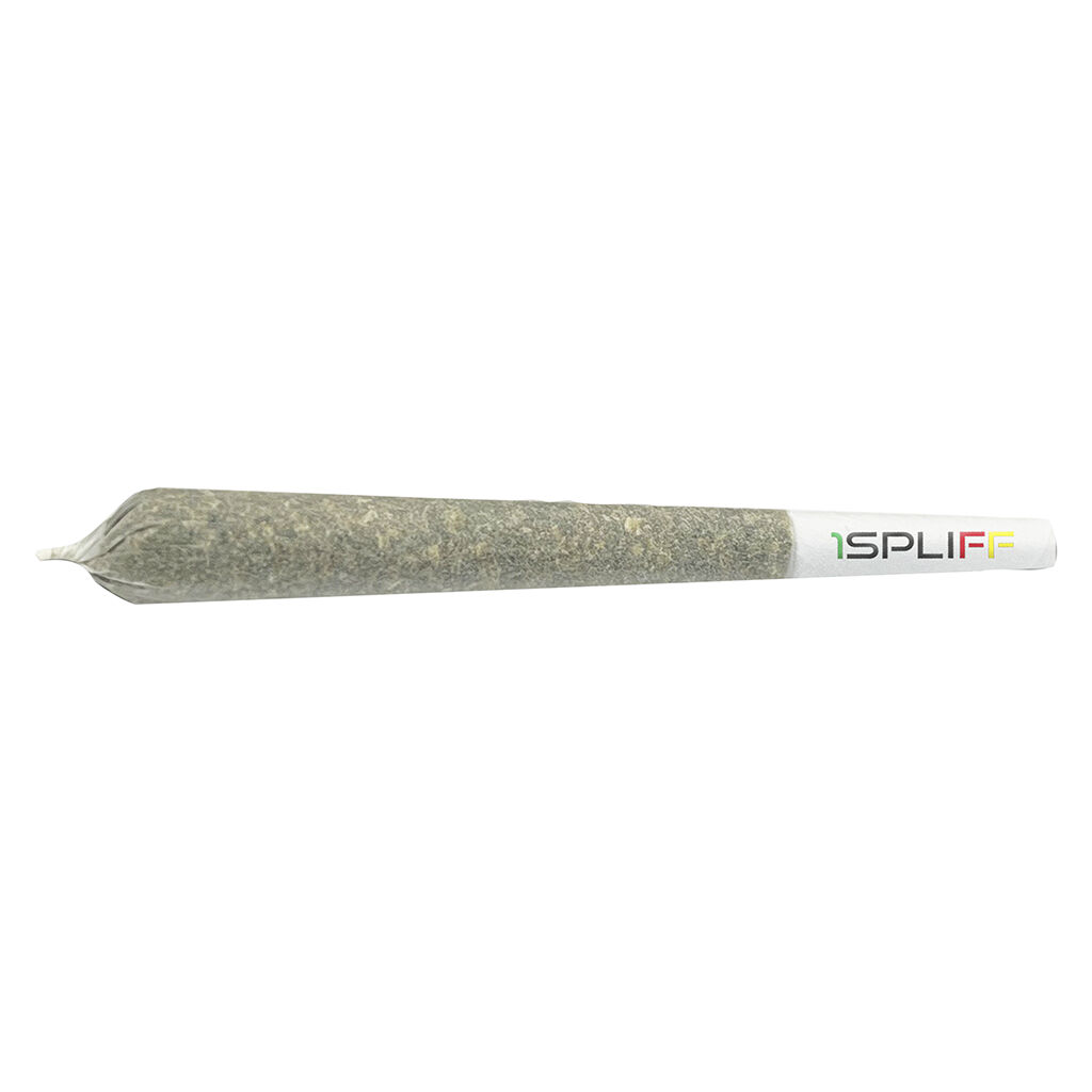 Spliff Caddy Pre-Roll