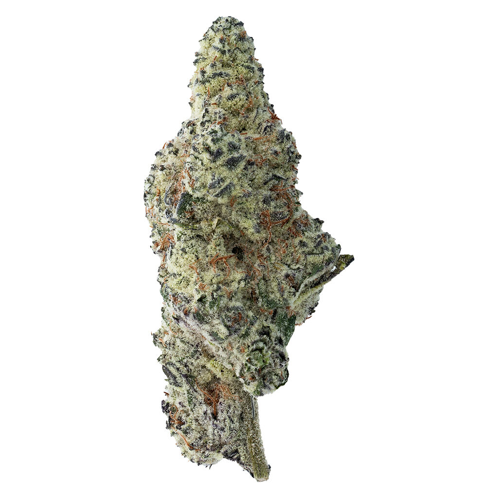Tropicana Cookies