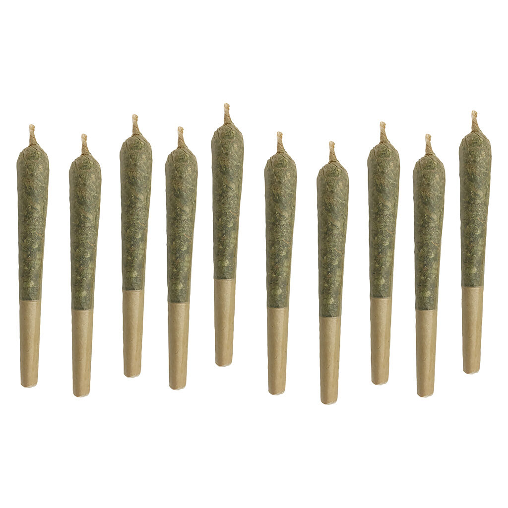 Amnesia Haze Pre-Roll