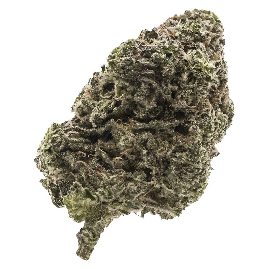 Jungle Fumes 3.5g Dried Flower