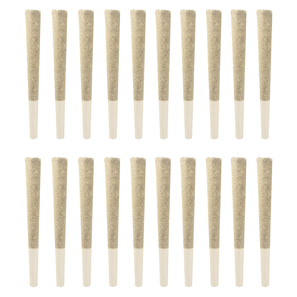 STUNNERZ - Sativa Bulk 20x0.5g Pre-Rolls Main Image