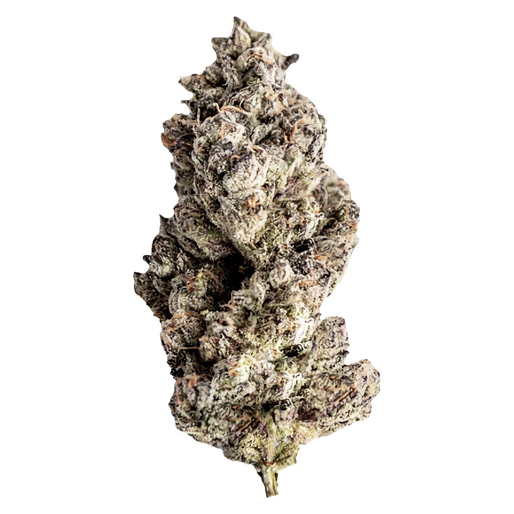 Red Velvet Ice Cream 7g Dried Flower