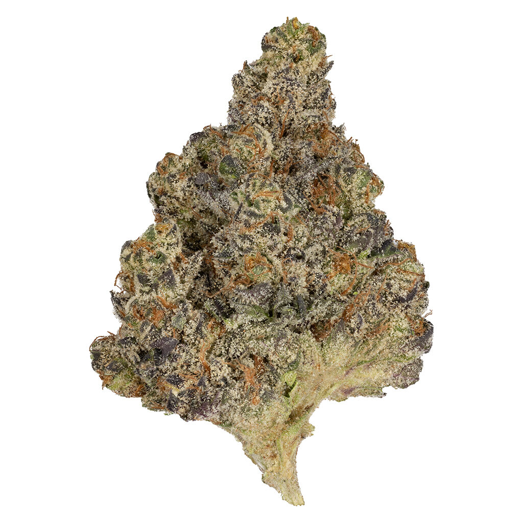 Product image OMY! - PAYDAY 1