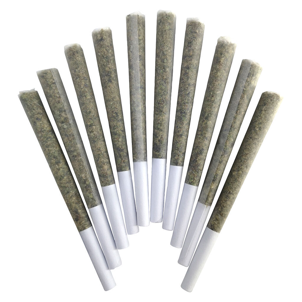 BC Doobies - Blue Maui Pre-Roll