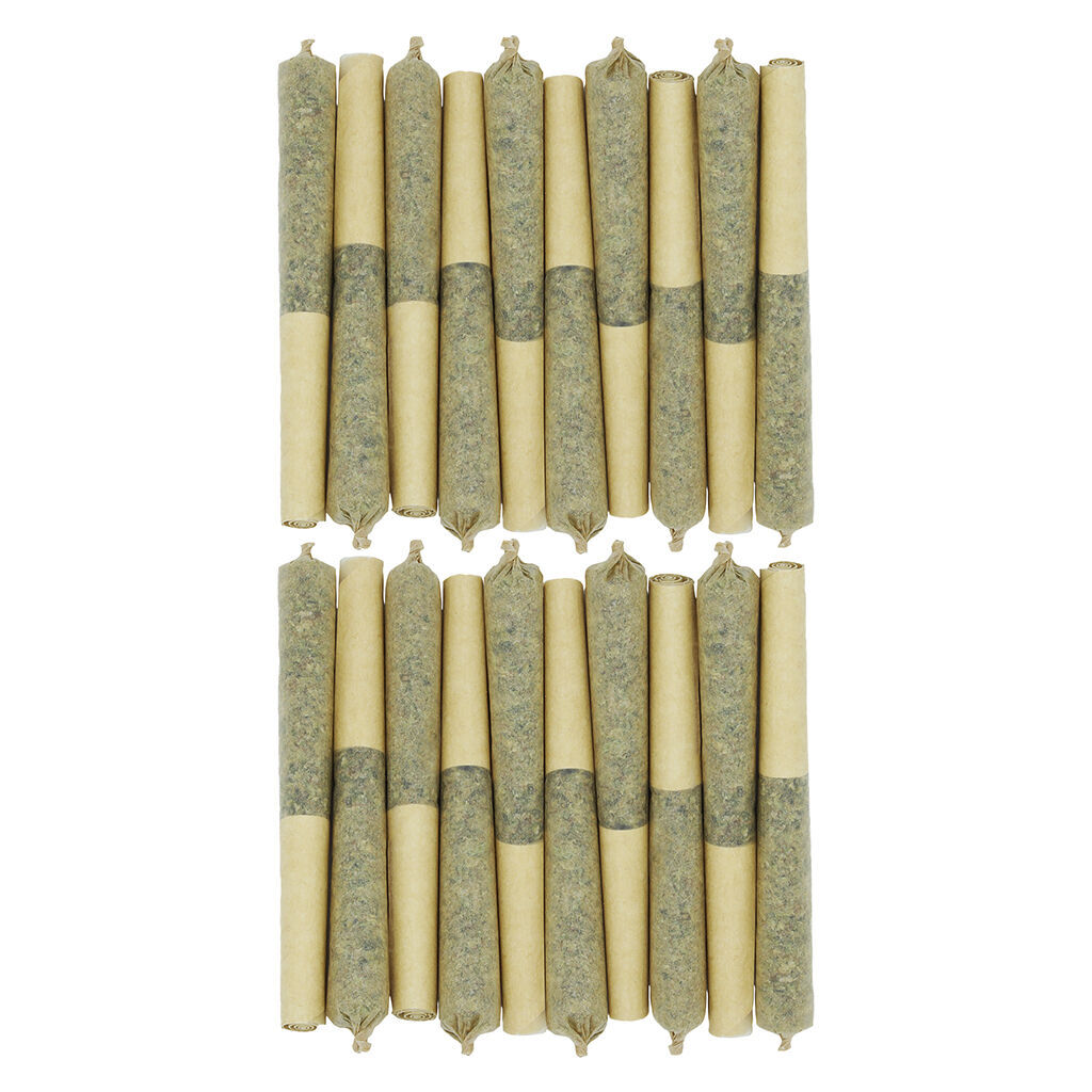 Star Chase Pre-Roll