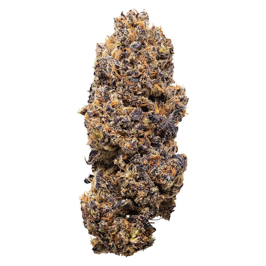 Lemon Whips Dried Flower