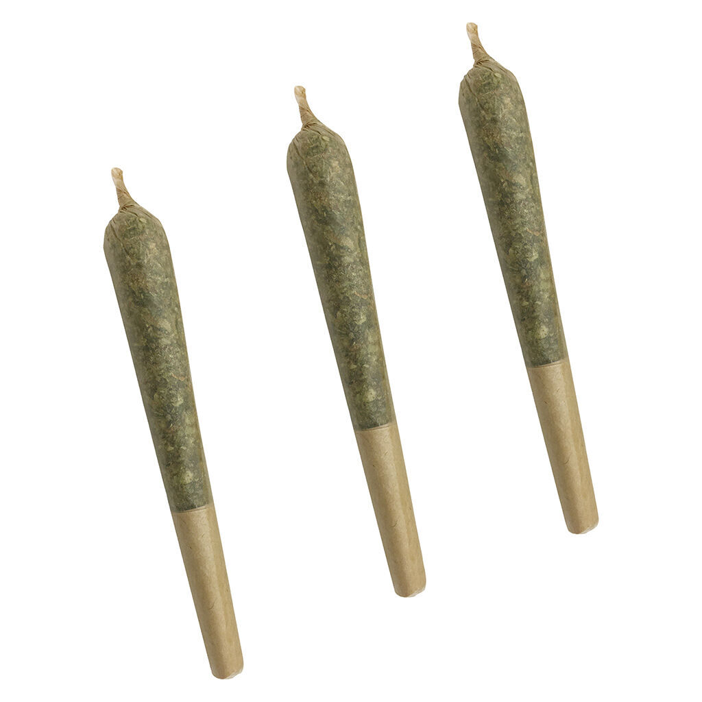 XoPro - Citrus Tsunami Pre-Roll