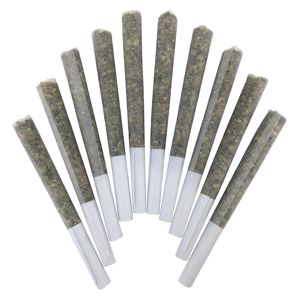 BC Doobies - Genghis Chron Pre-Roll