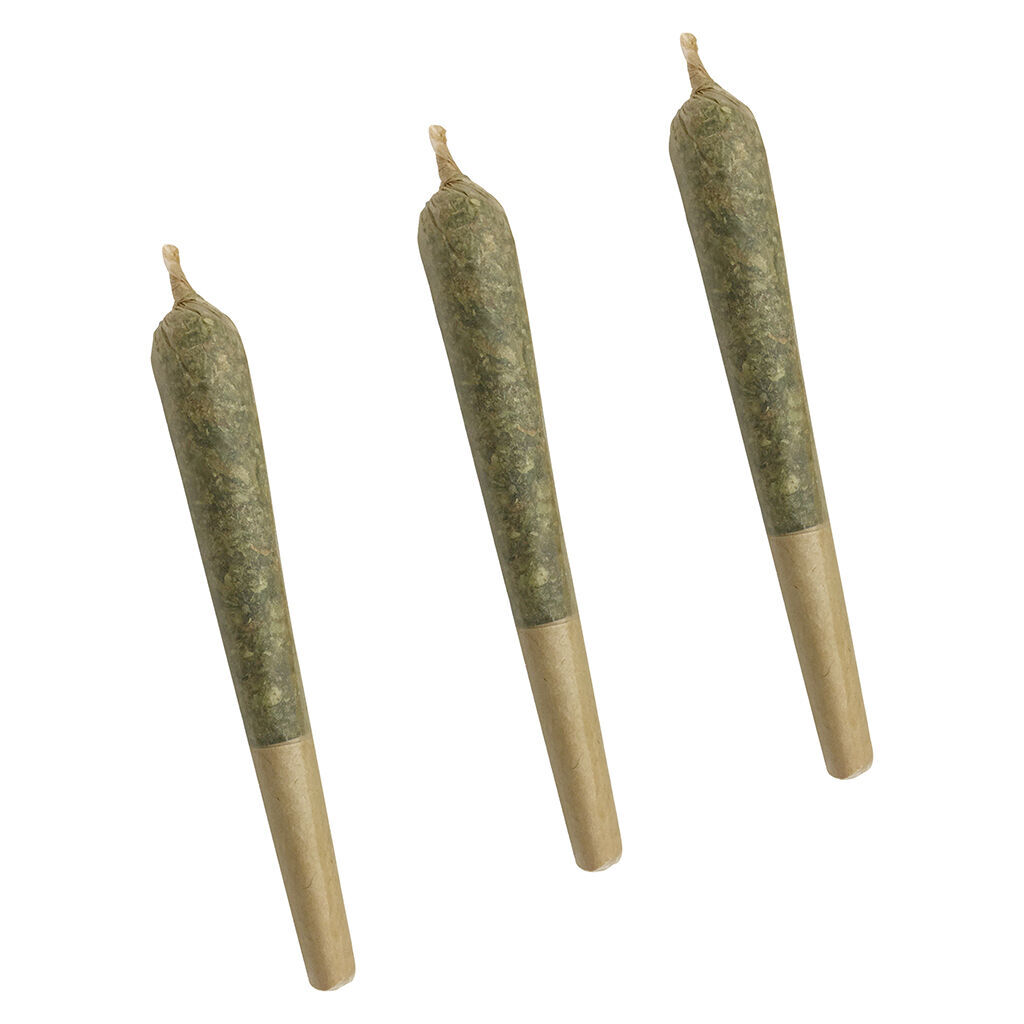 XoPro - Time Wreck Pre-Roll