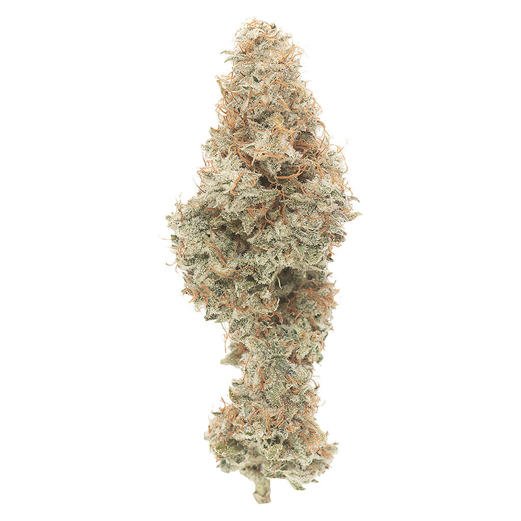 GOOD BUDS - Mango Cake Dry Flower