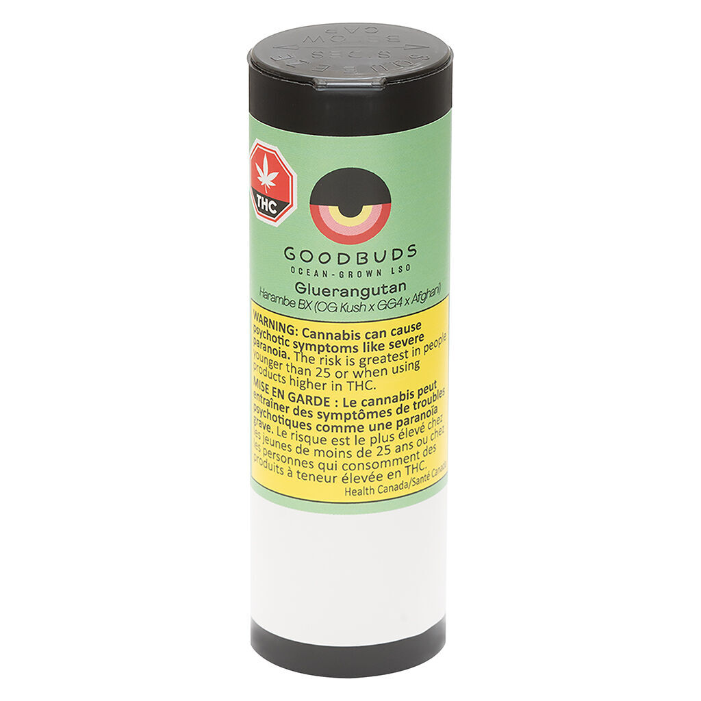 Gluerangutan Pre-Roll