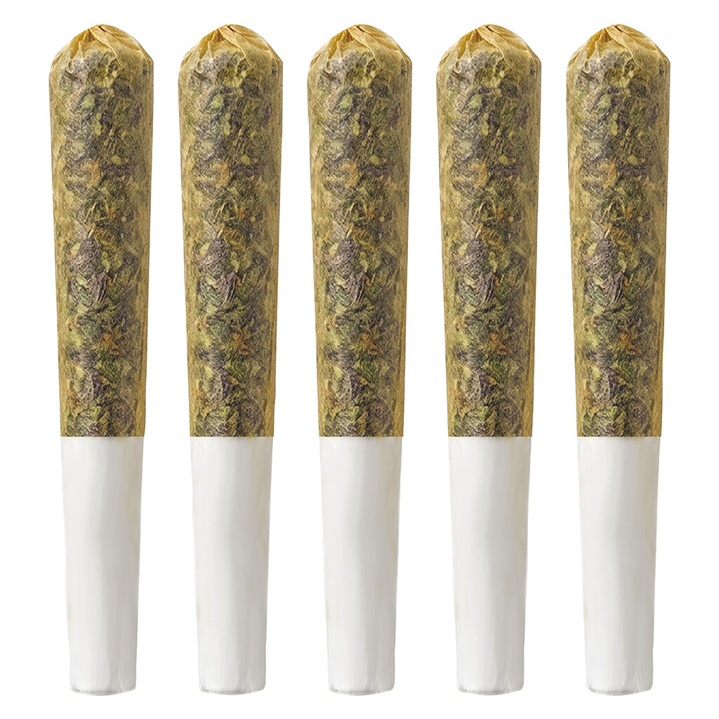 Sun-Kissed Pre-Roll