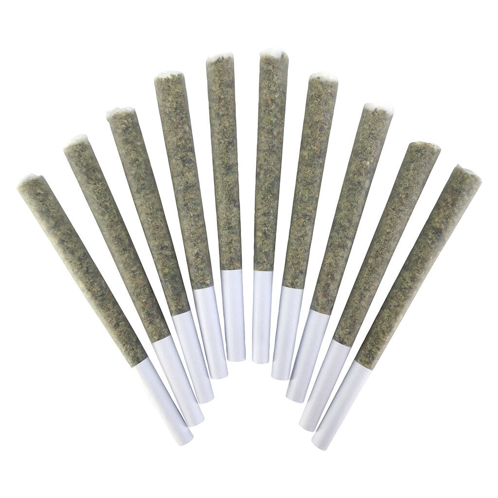 BC Doobies - VelcroZ Pre-Roll