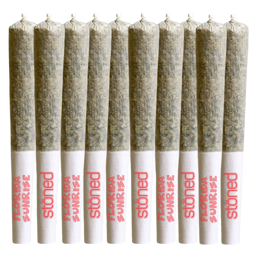Florida Sunrise Pre-Roll