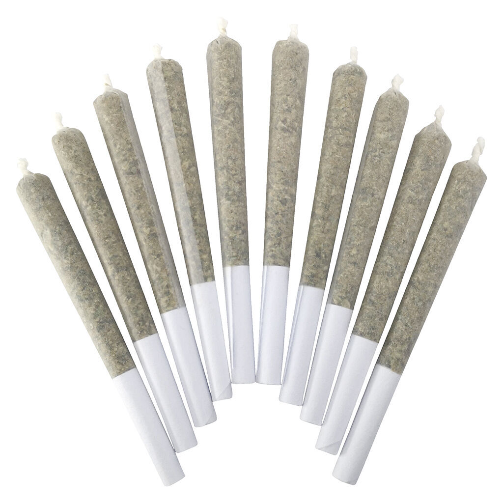 BC Doobies - White Chocolate (Chocolope x White Moonshine) Pre-Roll - 10x0.5g Terps 2.05%