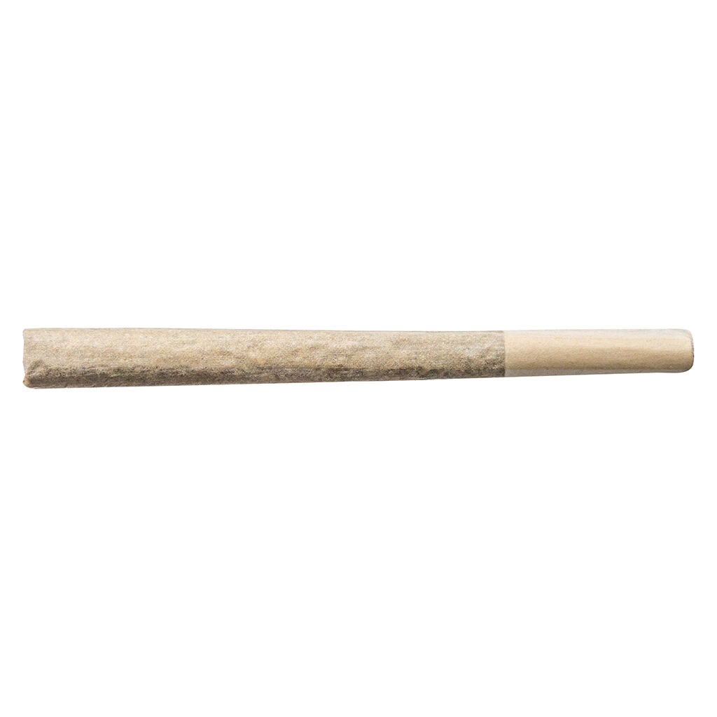 Cheers Cannabis - Midnight Cake Pre-Roll
