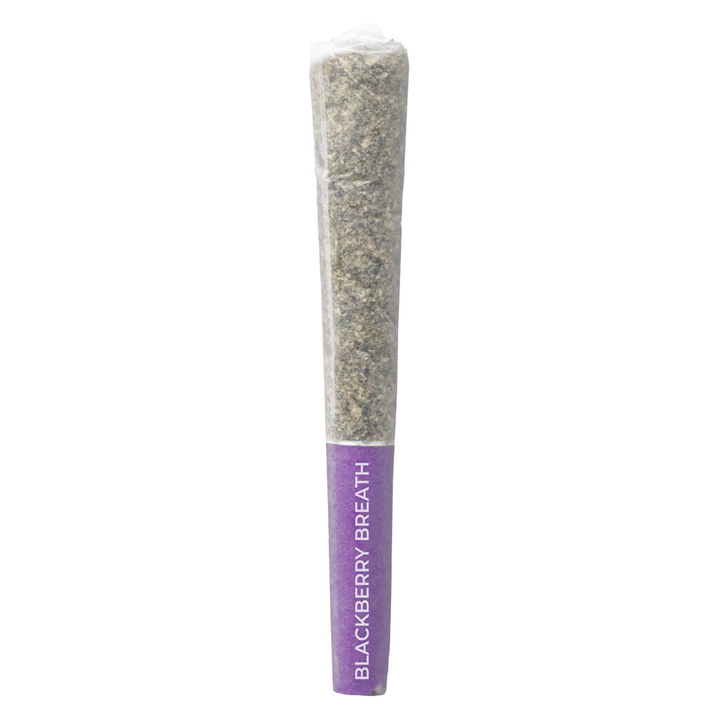 PISTOL AND PARIS - Blackberry Breath 3x0.5g Pre-Rolls Main Image