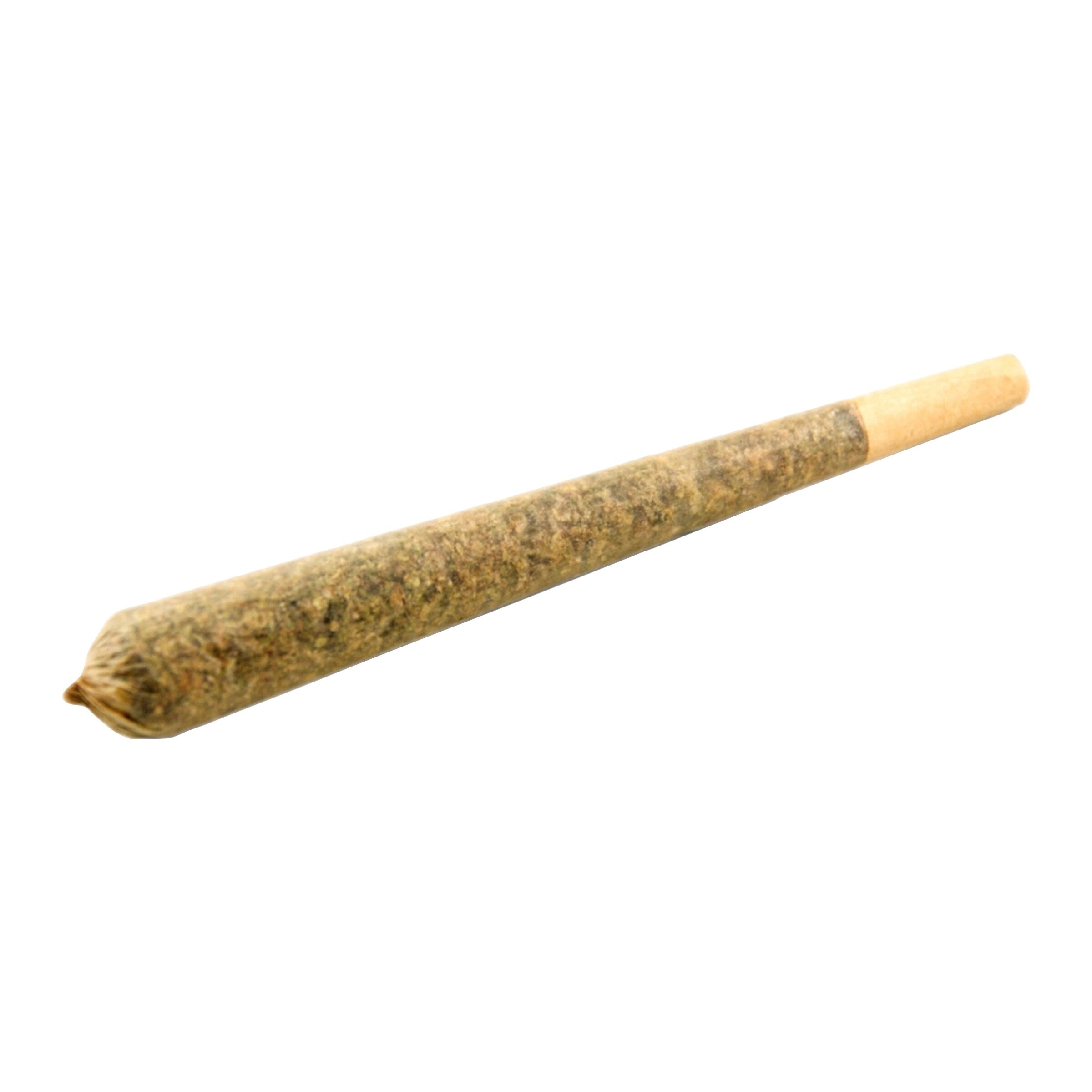 Irie Rolls PreRoll  5x