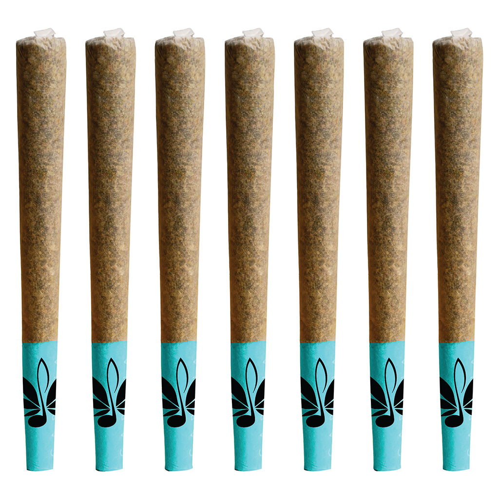 The Blues Pre-Roll