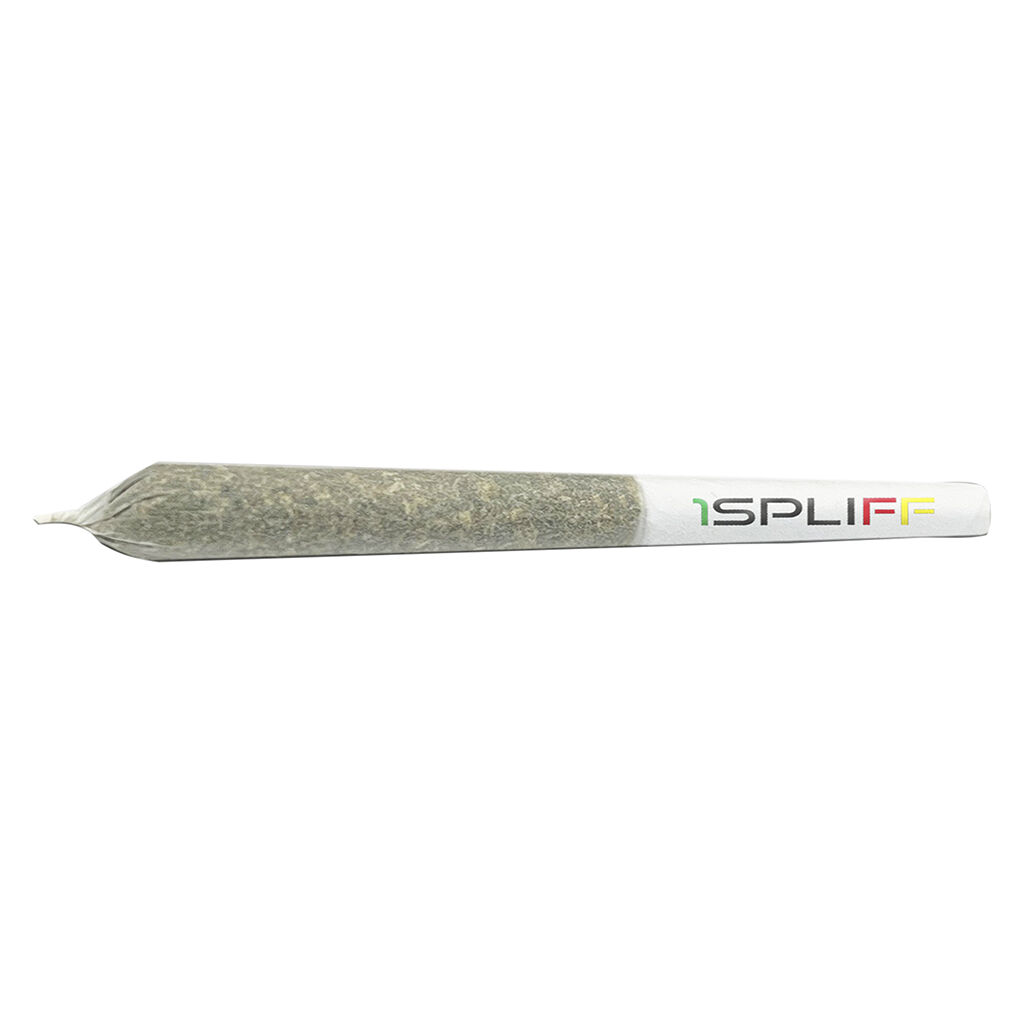 1Spliff - Celestial Mega Pack 80x0.35g Pre-Rolls Main Image