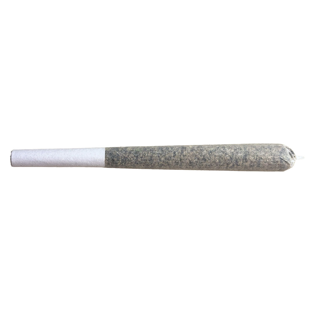 Miami Daze Pre-Roll