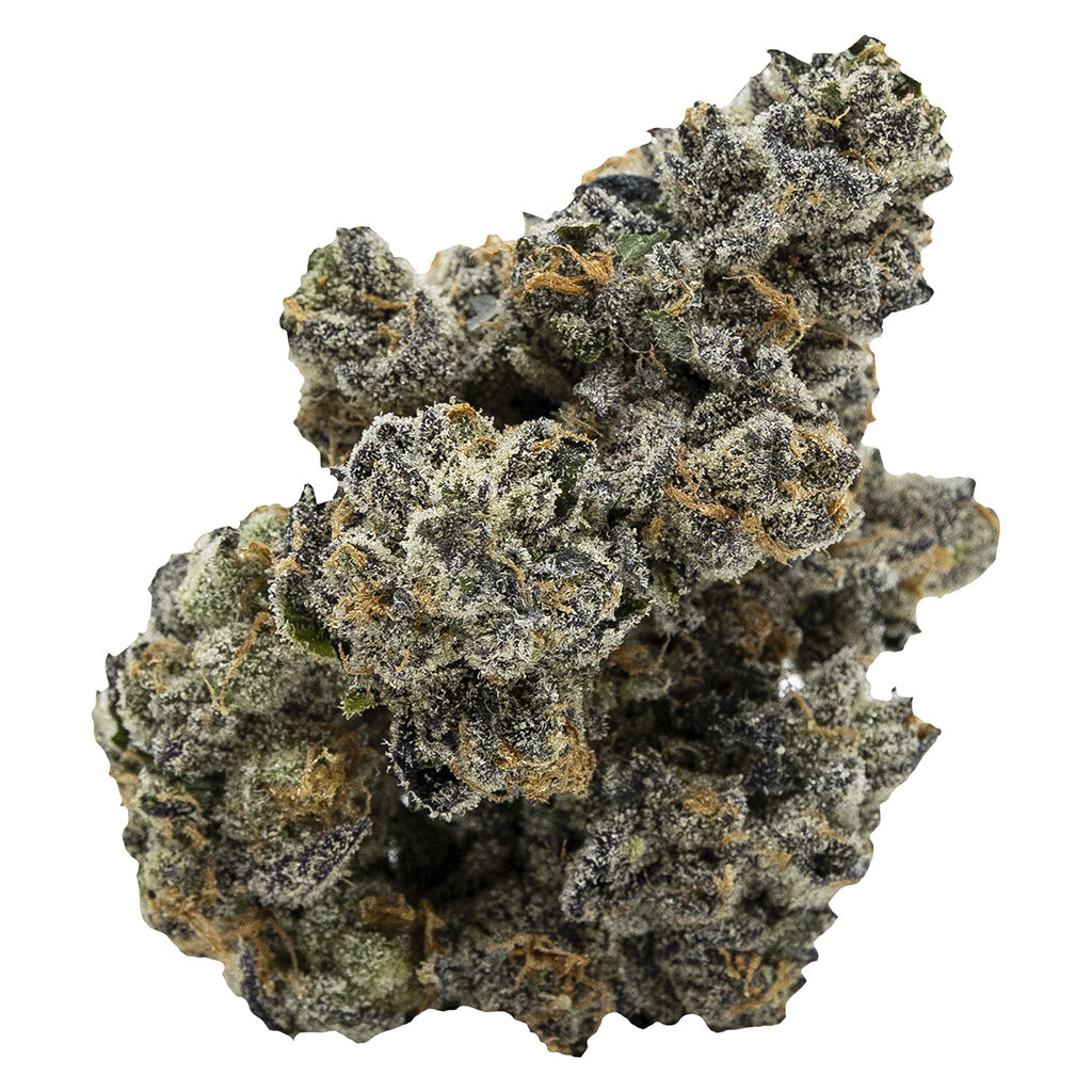 Pistol and Paris - Blackberry Breath
