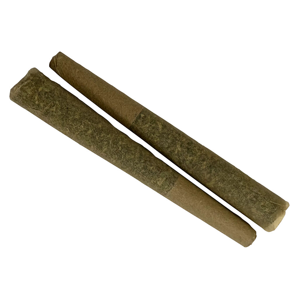 Animal Face #10 Pre-roll