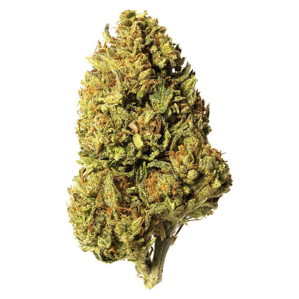Bleuh Light CBD