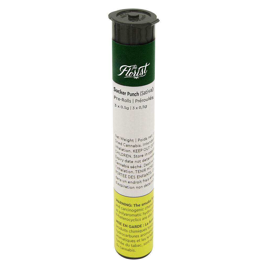 Sucker Punch Pre-Roll