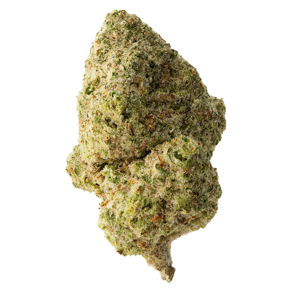 The Loud Plug - Sticky Bunz