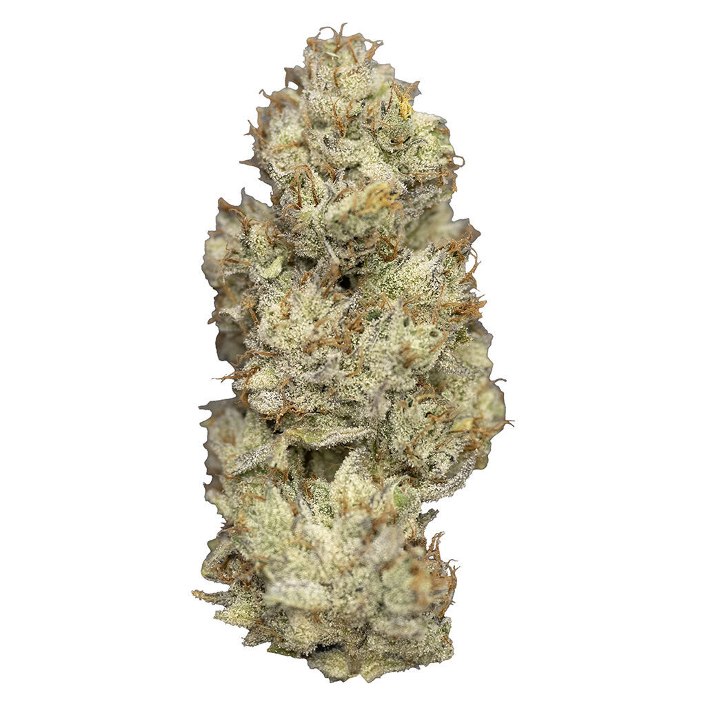 Wagyu Delight 7g Dried Flower